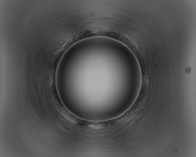 X0000091531012200708241707