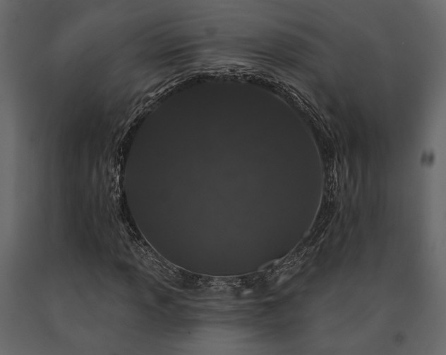 X0000091531013200708241707