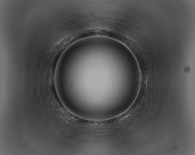 X0000091531014200708241707