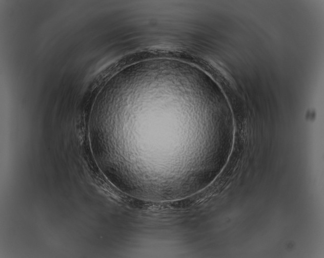 X0000091531015200708241707