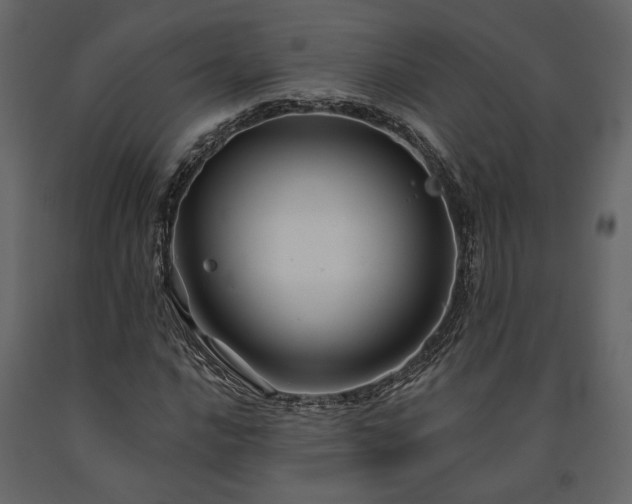 X0000091531016200708241707