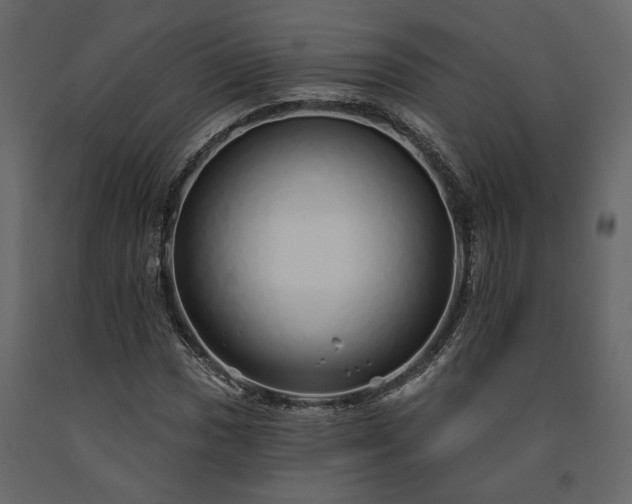 X0000091531017200708241707