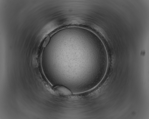 X0000091531018200708241707