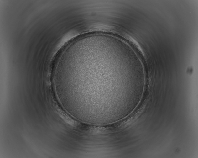 X0000091531019200708241707