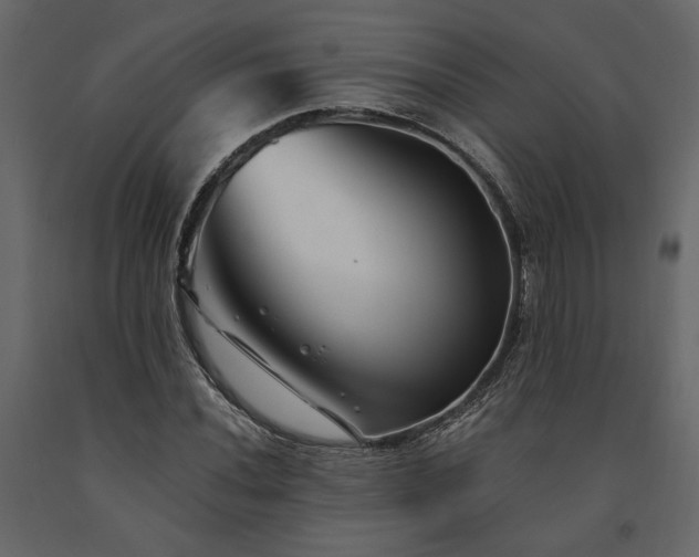 X0000091531020200708241707