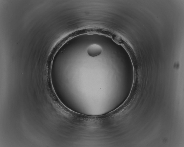 X0000091531021200708241707