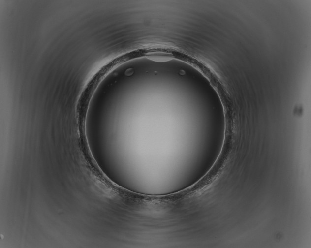 X0000091531022200708241707