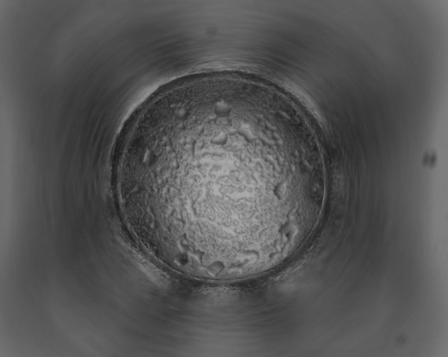 X0000091531023200708241707