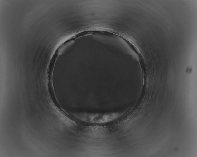 X0000091531024200708241707