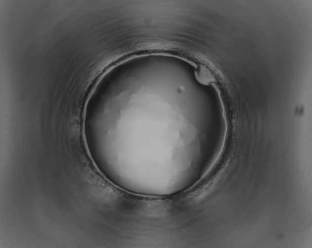 X0000091531025200708241707