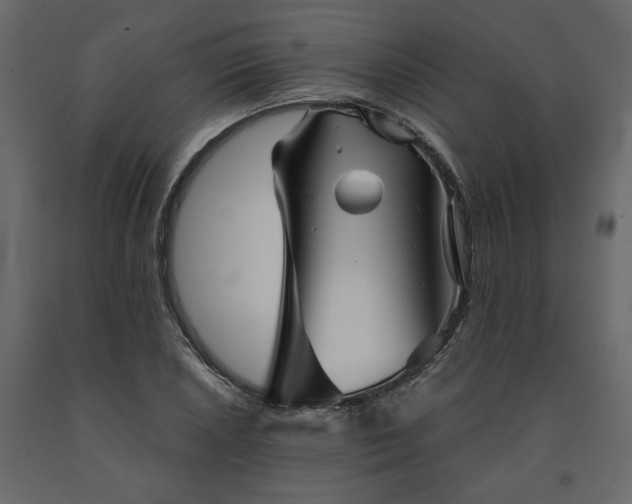 X0000091531026200708241707