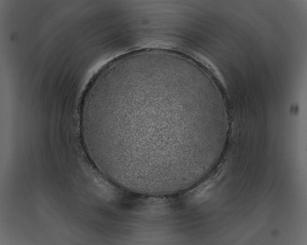 X0000091531027200708241707