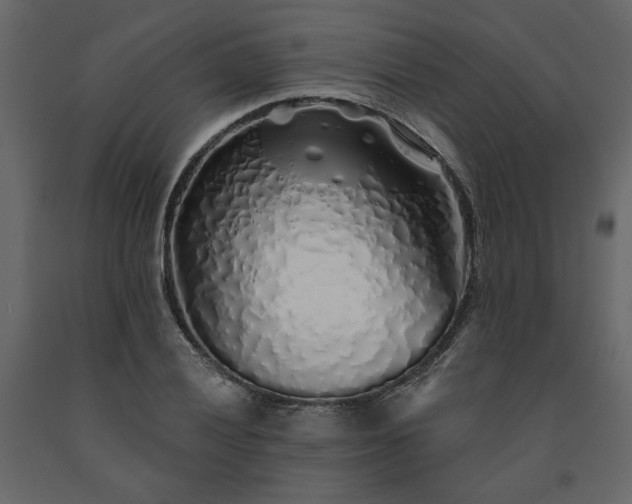 X0000091531028200708241707