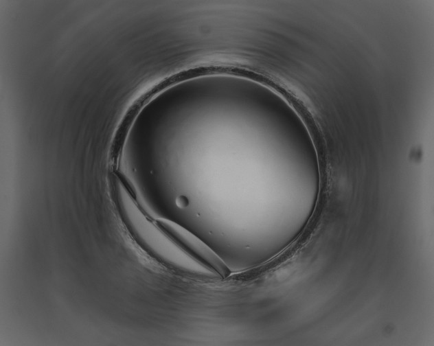 X0000091531029200708241707