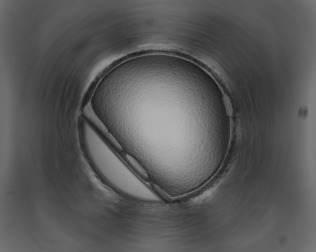 X0000091531030200708241707