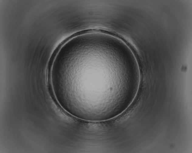 X0000091531032200708241707