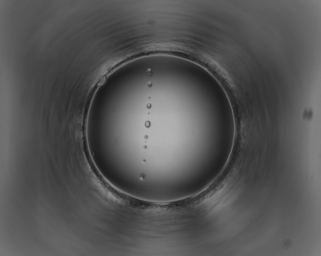 X0000091531033200708241707