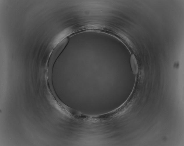 X0000091531034200708241707