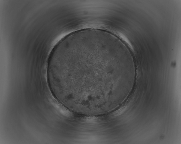 X0000091531035200708241707