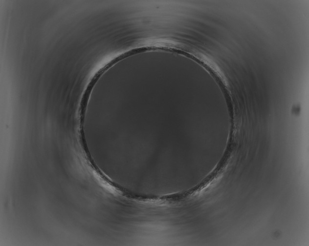 X0000091531037200708241707