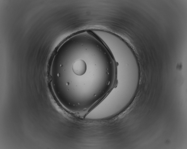 X0000091531038200708241707