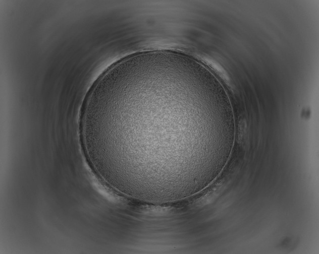 X0000091531039200708241707