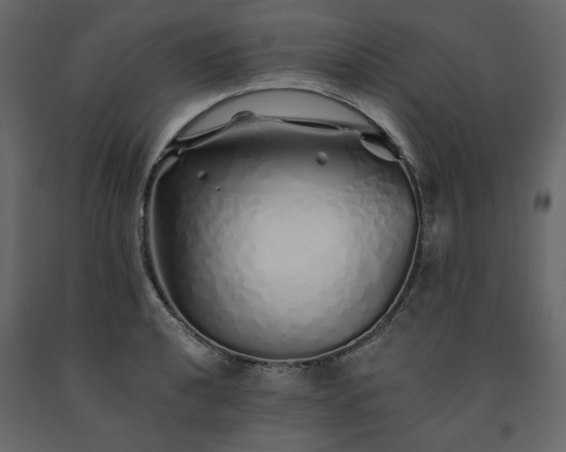 X0000091531040200708241707