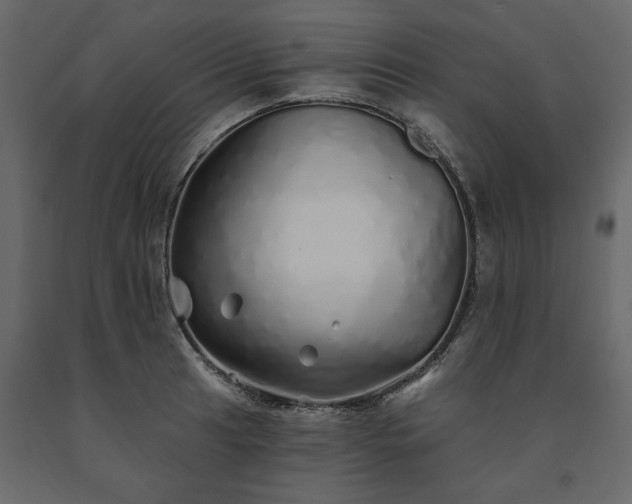 X0000091531041200708241707