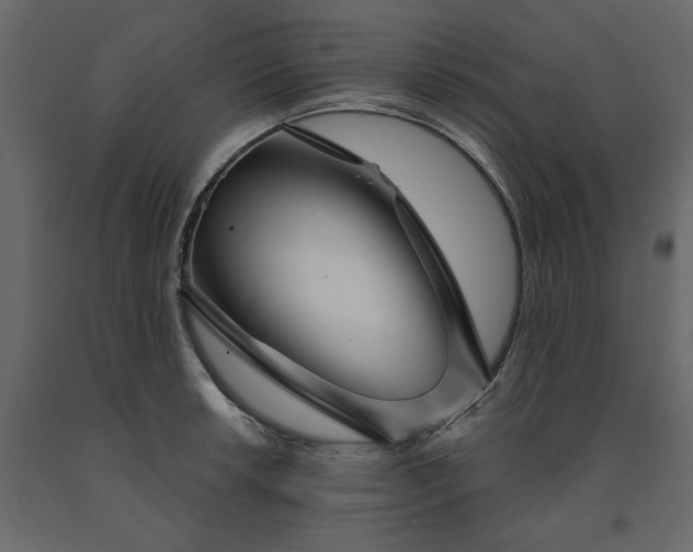 X0000091531042200708241707
