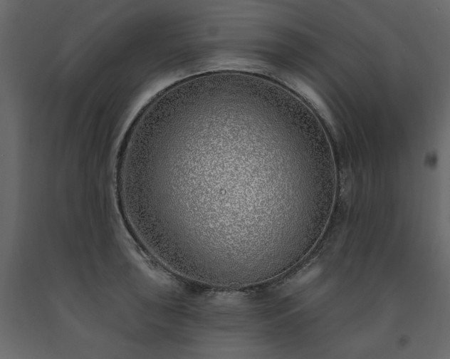 X0000091531043200708241707