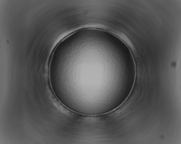 X0000091531044200708241707