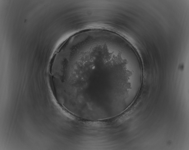 X0000091531045200708241707