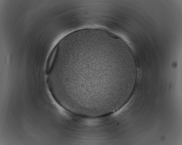 X0000091531046200708241707