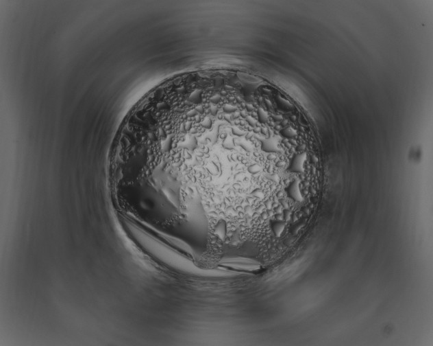 X0000091531047200708241707