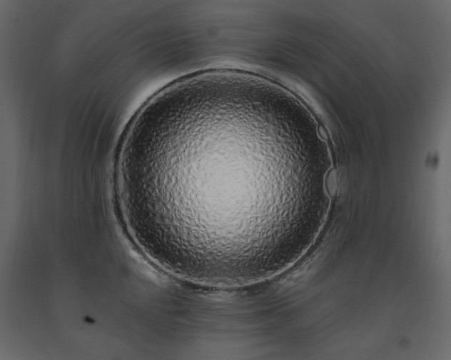 X0000091531048200708241707