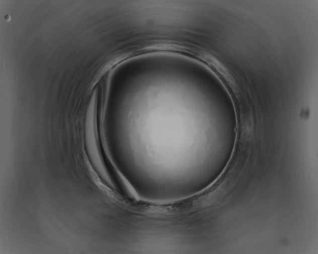 X0000091531049200708241707