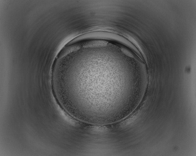 X0000091531050200708241707