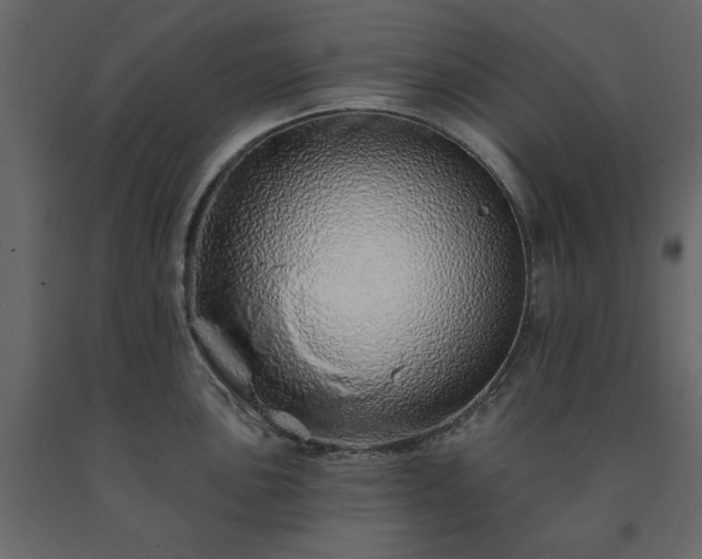 X0000091531051200708241707