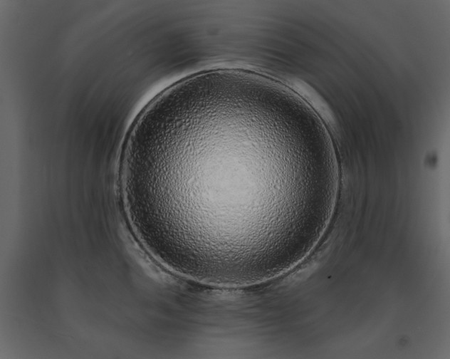 X0000091531052200708241707