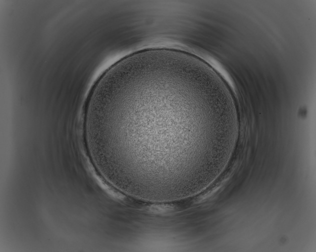 X0000091531053200708241707