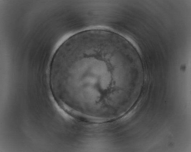 X0000091531054200708241707
