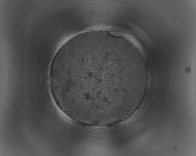 X0000091531055200708241707