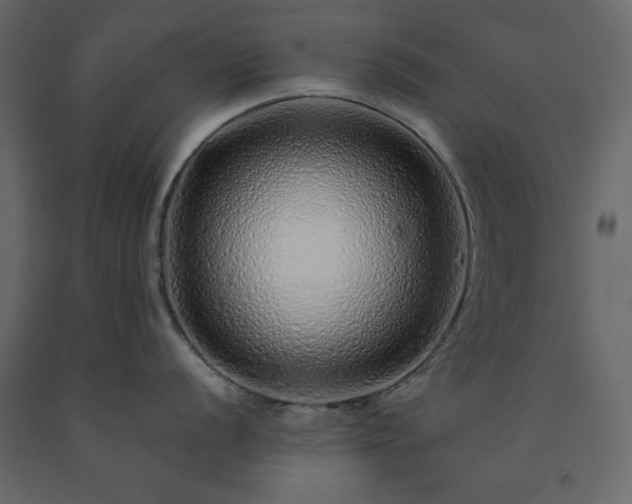 X0000091531056200708241707