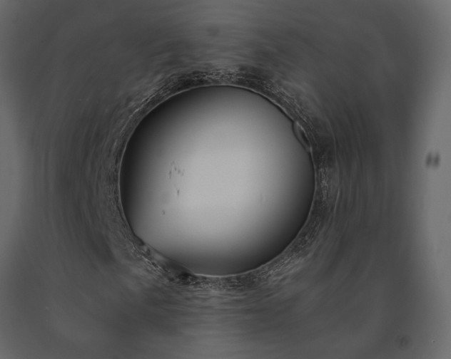 X0000091531057200708241707