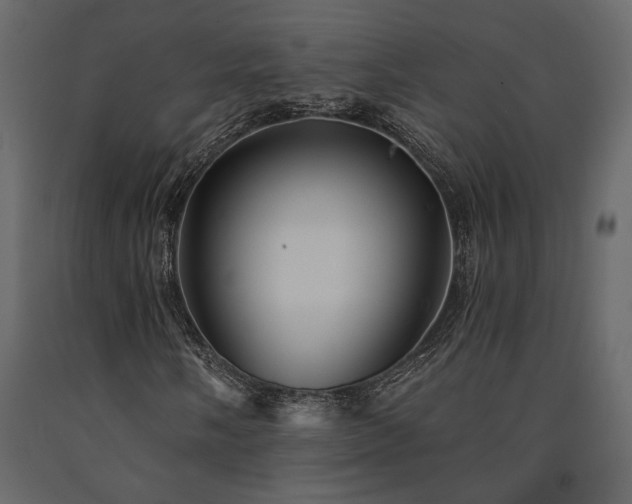X0000091531058200708241707