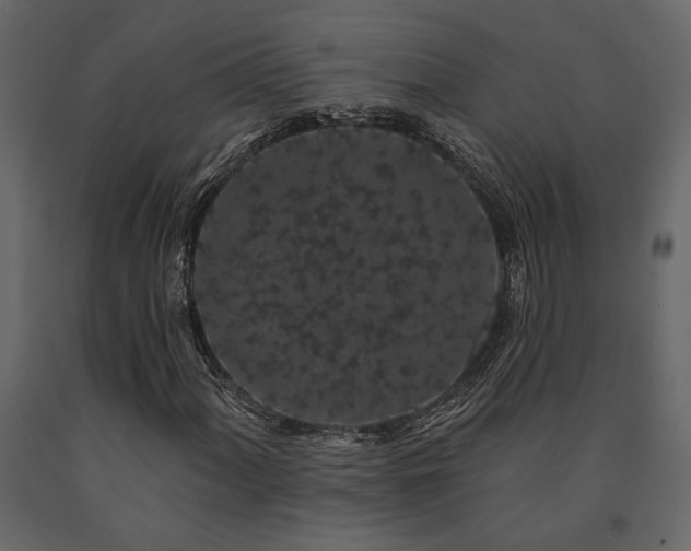 X0000091531060200708241707