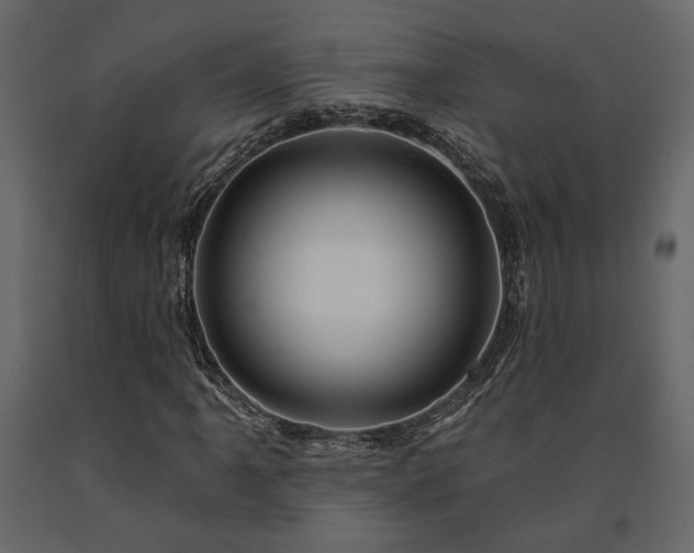 X0000091531061200708241707