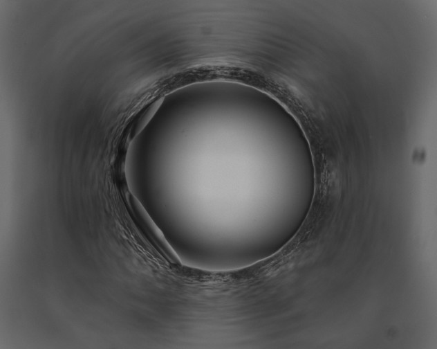 X0000091531062200708241707
