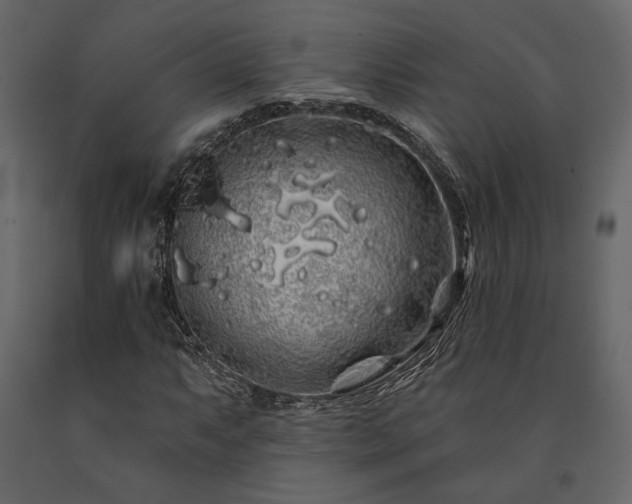 X0000091531063200708241707