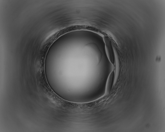X0000091531064200708241707